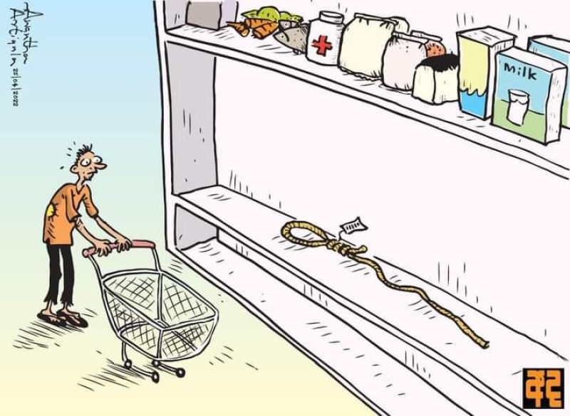 278839003 542741337198729 1831500019141519657 N